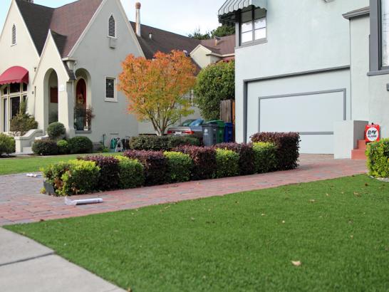 Artificial Grass Photos: Turf Grass Montecito, California Landscape Design, Front Yard Landscape Ideas