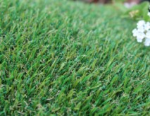 Petgrass-55 Fake Grass