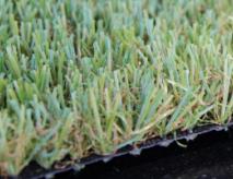 Synthetic Turf Grass For Businesses