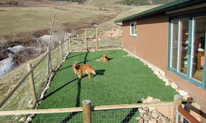 Pet Grass, Artificial Grass For Dogs in Santa Barbara